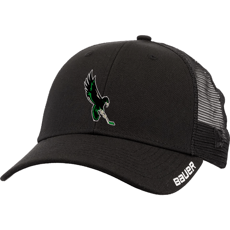 Wilmington Nighthawks Bauer Adult Team Mesh Snapback