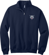 CT Bobcats NuBlend 1/4-Zip Cadet Collar Sweatshirt