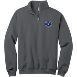 Carolina Thunder NuBlend 1/4-Zip Cadet Collar Sweatshirt