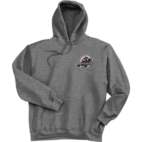 Allegheny Badgers Ultimate Cotton - Pullover Hooded Sweatshirt