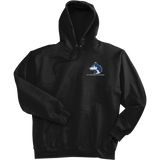 Pittsburgh Huskies Super Heavyweight Fleece Hoodie