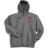 Princeton Tiger Lilies Ultimate Cotton - Pullover Hooded Sweatshirt